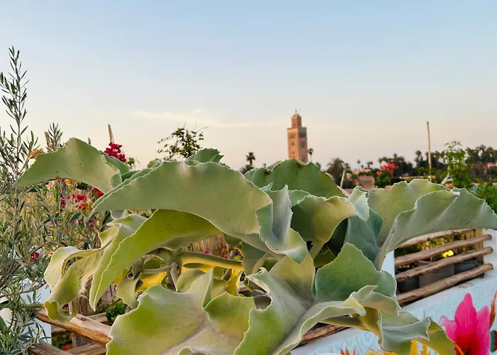Riad Tsar Mimoun